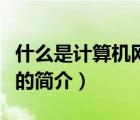 什么是計算機網(wǎng)絡(luò)（說一說什么是計算機網(wǎng)絡(luò)的簡介）