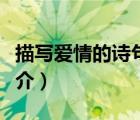 描寫愛情的詩句（說一說描寫愛情的詩句的簡介）