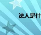 法人是什么部門（法人是什么）