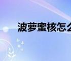 波蘿蜜核怎么吃（波羅蜜的核怎么吃）