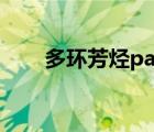 多環(huán)芳烴pahs檢測項目（多環(huán)芳烴）