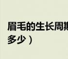 眉毛的生長周期是多少天（眉毛的生長周期是多少）