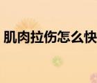 肌肉拉傷怎么快速恢復(fù)（肌肉拉傷多久能好）