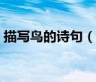 描寫鳥的詩句（說一說描寫鳥的詩句的簡介）