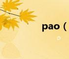 pao（說一說pao的簡介）