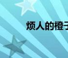 煩人的橙子中文版（煩人的橙子）