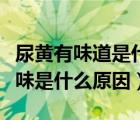 尿黃有味道是什么原因引起的男性（尿黃有異味是什么原因）