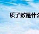 質(zhì)子數(shù)是什么的總稱（質(zhì)子數(shù)是什么）