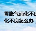 胃脹氣消化不良怎么辦有什么辦法（胃脹氣消化不良怎么辦）