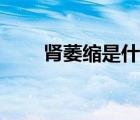 腎萎縮是什么原因引起的（腎萎縮）