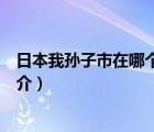 日本我孫子市在哪個縣（說一說日本我孫子市在哪個縣的簡介）