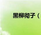 黑柳徹子（說一說黑柳徹子的簡介）