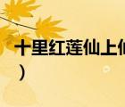 十里紅蓮仙上仙花姽婳結(jié)局（十里紅蓮仙上仙）
