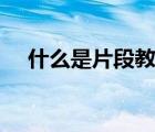 什么是片段教學(xué)PPT（什么是片段教學(xué)）