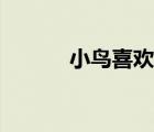 小鳥喜歡吃什么（小鳥吃什么）