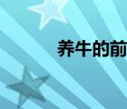 養(yǎng)牛的前景分析（養(yǎng)牛的前景）