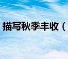 描寫秋季豐收（描寫秋 豐收的語(yǔ)句(語(yǔ)句   )）