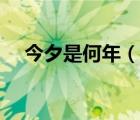 今夕是何年（說一說今夕是何年的簡介）