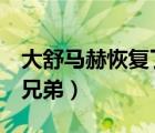 大舒馬赫恢復(fù)了嗎（大小舒馬赫是什么關(guān)系  兄弟）