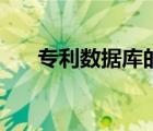 專利數(shù)據(jù)庫的基礎(chǔ)知識(shí)（專利數(shù)據(jù)庫）