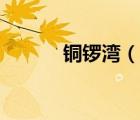 銅鑼灣（說一說銅鑼灣的簡介）