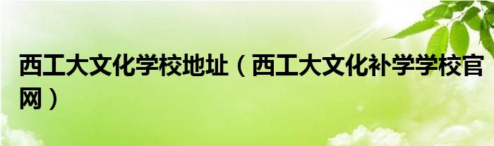 西工大文化學(xué)校地址（西工大文化補(bǔ)學(xué)學(xué)校官網(wǎng)）