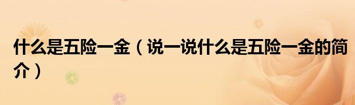 什么是五險(xiǎn)一金（說(shuō)一說(shuō)什么是五險(xiǎn)一金的簡(jiǎn)介）