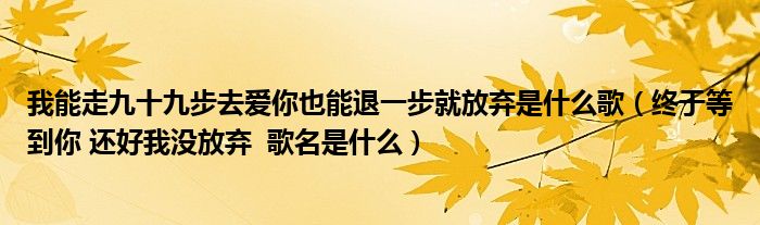 我能走九十九步去愛你也能退一步就放棄是什么歌（終于等到你 還好我沒放棄  歌名是什么）