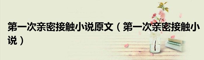 第一次親密接觸小說原文（第一次親密接觸小說）