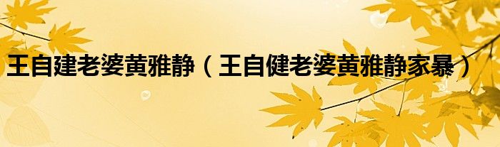 王自建老婆黃雅靜（王自健老婆黃雅靜家暴）