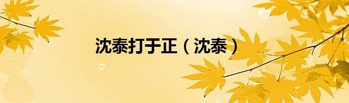 沈泰打于正（沈泰）
