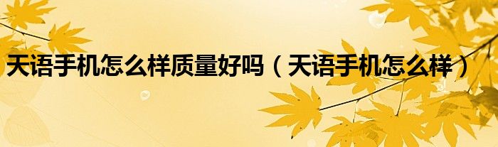 天語手機怎么樣質量好嗎（天語手機怎么樣）