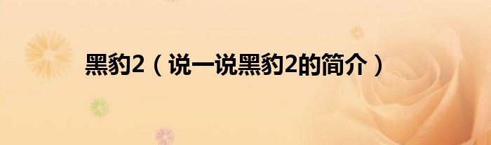 黑豹2（說一說黑豹2的簡介）