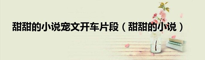 甜甜的小說寵文開車片段（甜甜的小說）