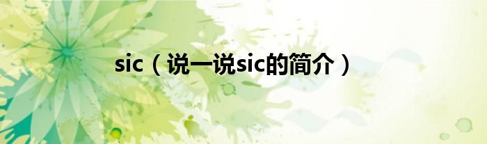 sic（說一說sic的簡介）