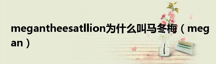 megantheesatllion為什么叫馬冬梅（megan）