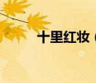 十里紅妝（十里紅妝是什么意思）