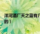 洋河酒廠天之藍有幾個系列酒（洋河天之藍是哪一天年上市的）