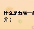 什么是五險一金（說一說什么是五險一金的簡介）