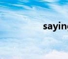 saying可數(shù)嗎（saying）