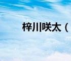 梓川咲太（說一說梓川咲太的簡介）
