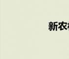 新農村建設的重要意義