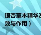 銀杏草本精華洗發(fā)露怎么樣（草本銀杏茶的功效與作用）