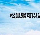 松鼠猴可以當(dāng)寵物養(yǎng)（寵物松鼠價格）