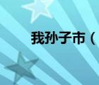 我孫子市（說一說我孫子市的簡介）