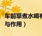 車前草煮水喝有什么作用與功效（車前草功效與作用）