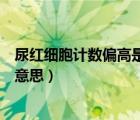 尿紅細胞計數(shù)偏高是什么意思（血常規(guī)單核細胞偏高是什么意思）