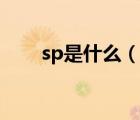sp是什么（說一說sp是什么的簡介）