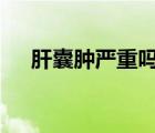 肝囊腫嚴(yán)重嗎4*3mm（肝囊腫嚴(yán)重嗎）