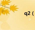 q2（說一說q2的簡介）